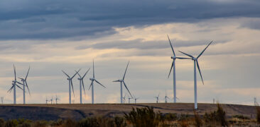 Comércio Internacional e Sustentabilidade, uma análise sobre o filme: “O Menino que Descobriu o Vento”